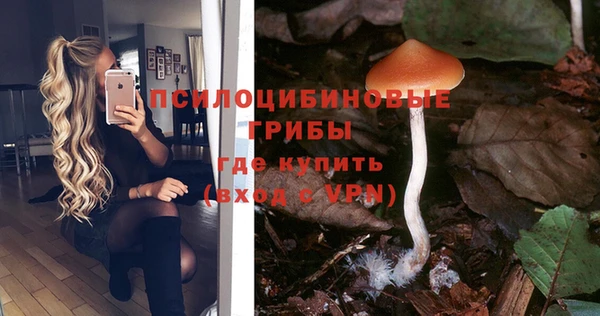 стафф Армянск